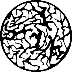 Kunstverein Kaarst e.V.